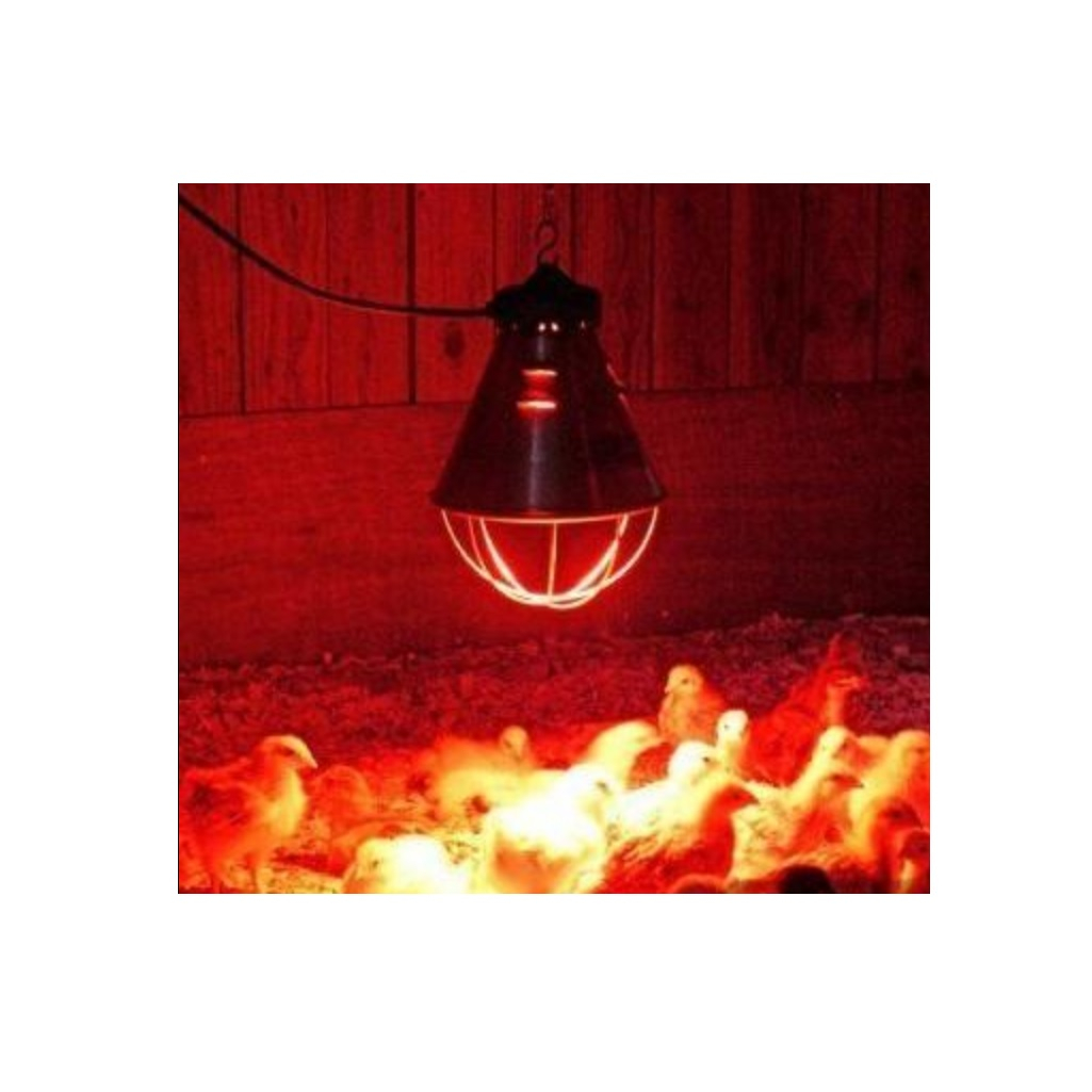 Лампа накаливания инфракрасная зеркальная КЭЛЗ ИКЗК-250, R127, Е27, термоизлучатель 