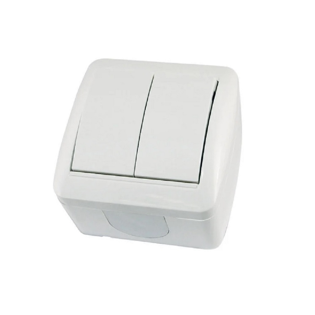 Выключатель двухклавишный TDM Electric Селигер SQ1818-0002, накладной, оконечный белый