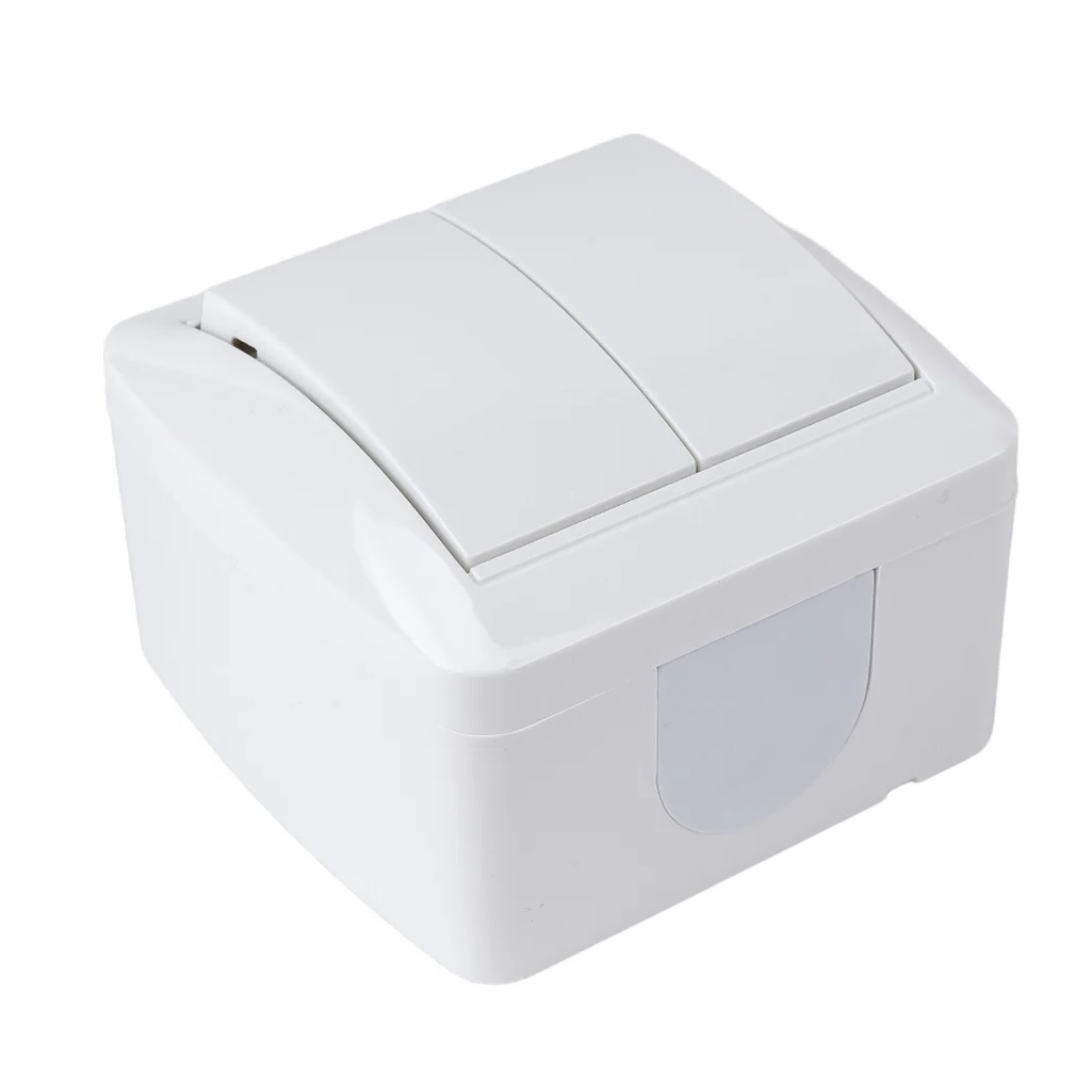 Выключатель двухклавишный TDM Electric Селигер SQ1818-0002, накладной, оконечный белый