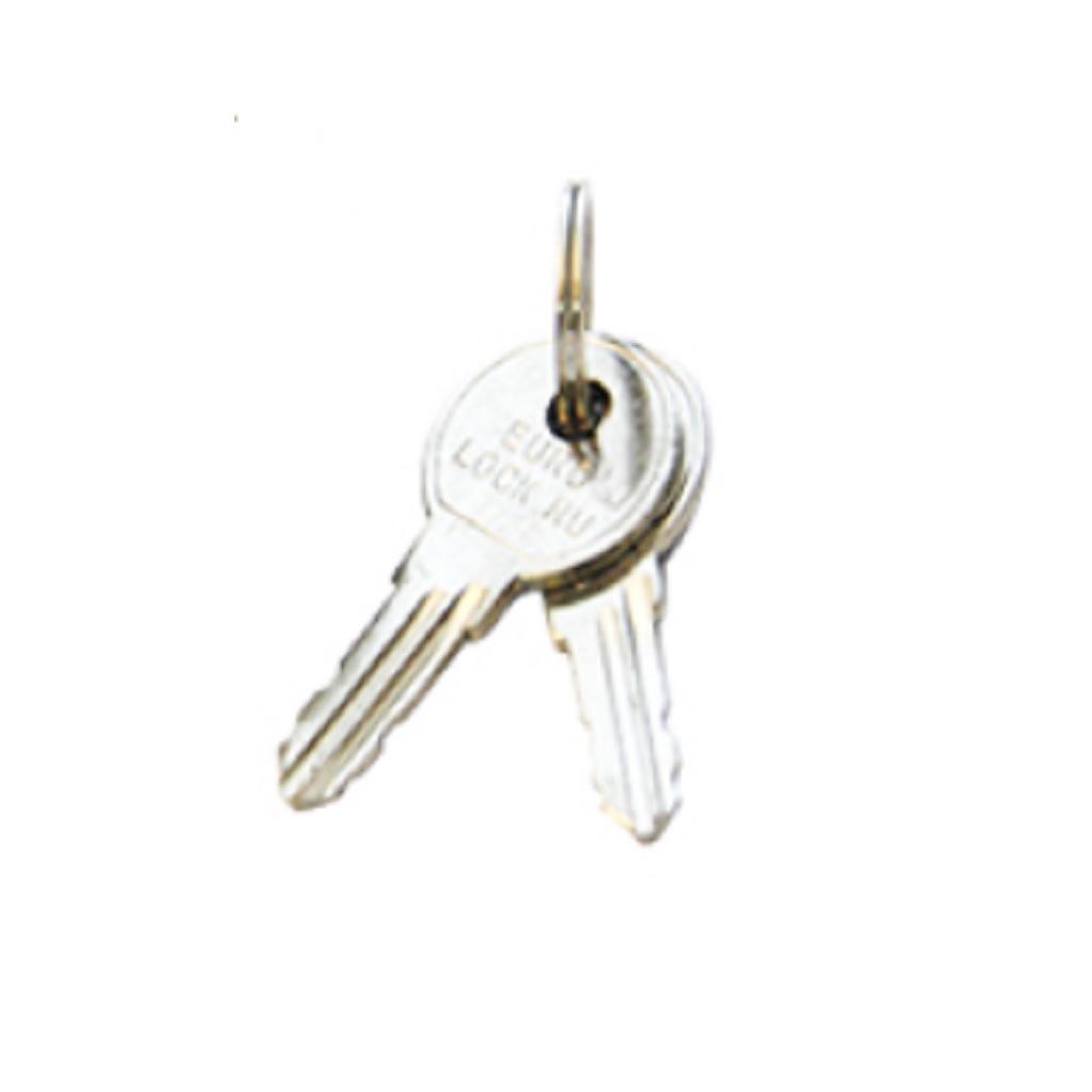 Замок почтовый LOID1 Мастер-ключ ЗП-500 20 мм, прочный механизм, защита от замерзания