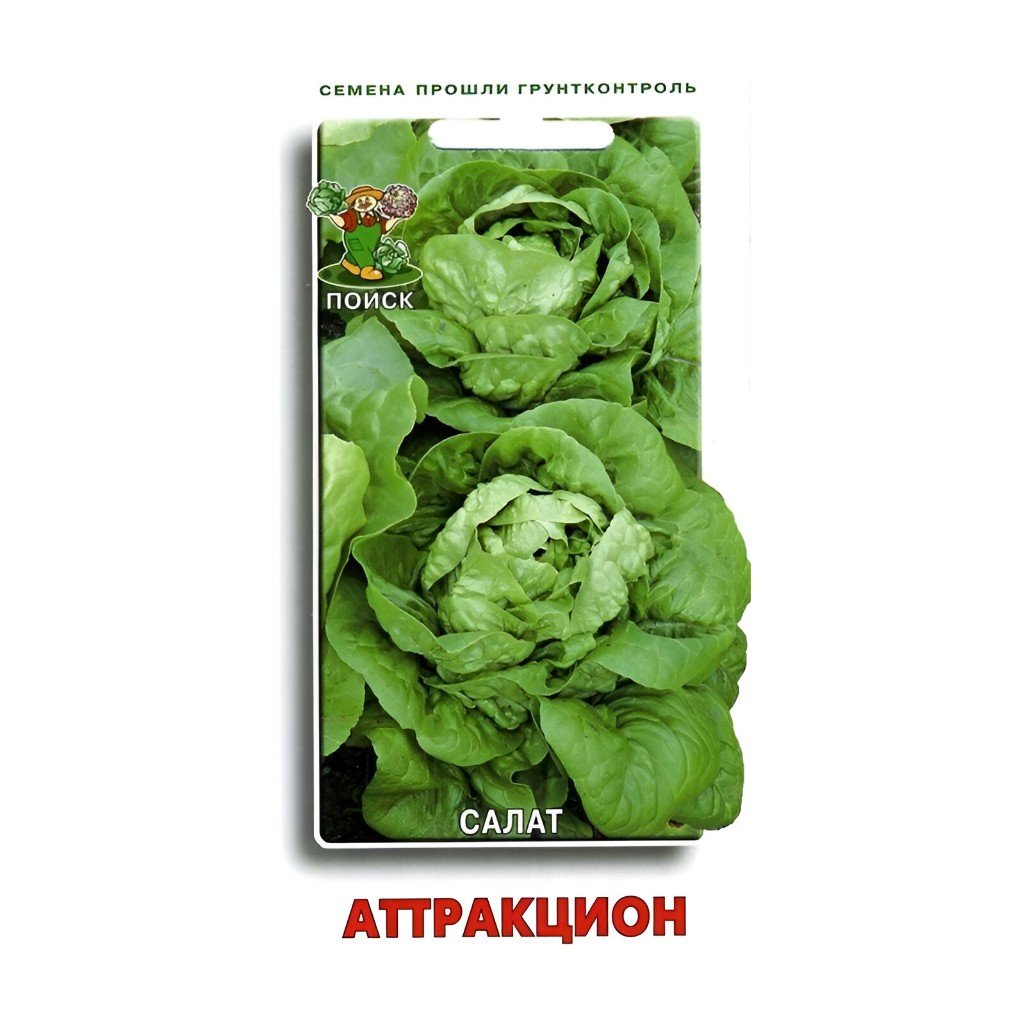 Семена Салат Аттракцион, среднеспелый, однолетний, Поиск, 1 г