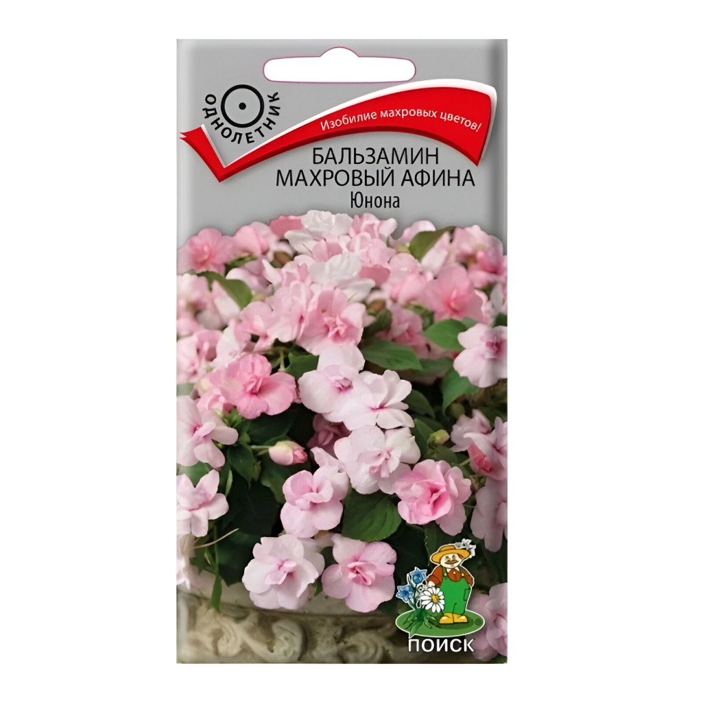 Семена Бальзамин махровый Афина Юнона, однолетник, Поиск, 0.1 гр