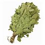 Веник Кавказкий дуб (экстра)