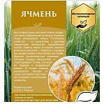Ячмень сидерат для борьбы с сорняками, вредителями и болезнями растений 1 кг