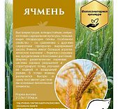 Ячмень сидерат для борьбы с сорняками, вредителями и болезнями растений 1 кг