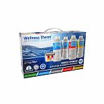 Набор химии Wellness Therm для ухода за водой в бассейне, 4 бутылки