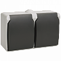 Розетка 2-местная  IEK ФОРС ERS22-K03-16-54-DC с заземлением, крышка, накладная, серый