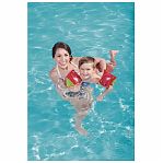 Нарукавники Bestway 32042 Дельфины Фрукты 3-6 лет, анатомическая форма, 15х23 см