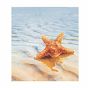 Панно Ceradim Starfish Dec 1 из 2-х шт 500x450 мм