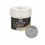 Блёстки VGT Pet Glitter серебро 0,05 кг