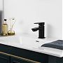 Смеситель для раковины Frud R10152 черный